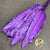 Strelitzia 'Leaves' Painted (Various Colours) (x10)