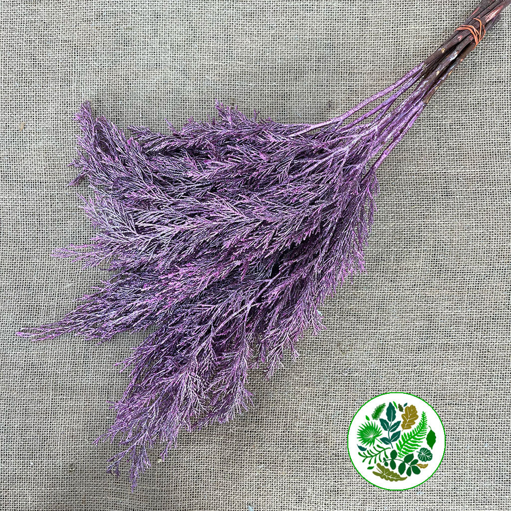 Conifer (Painted) (Various Colours)