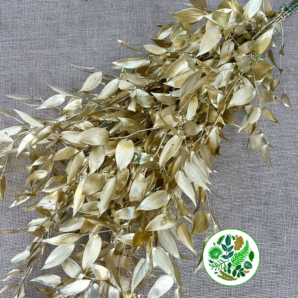 Ruscus 'Trailing' Fresh (Painted Metallic Colours) (Various)