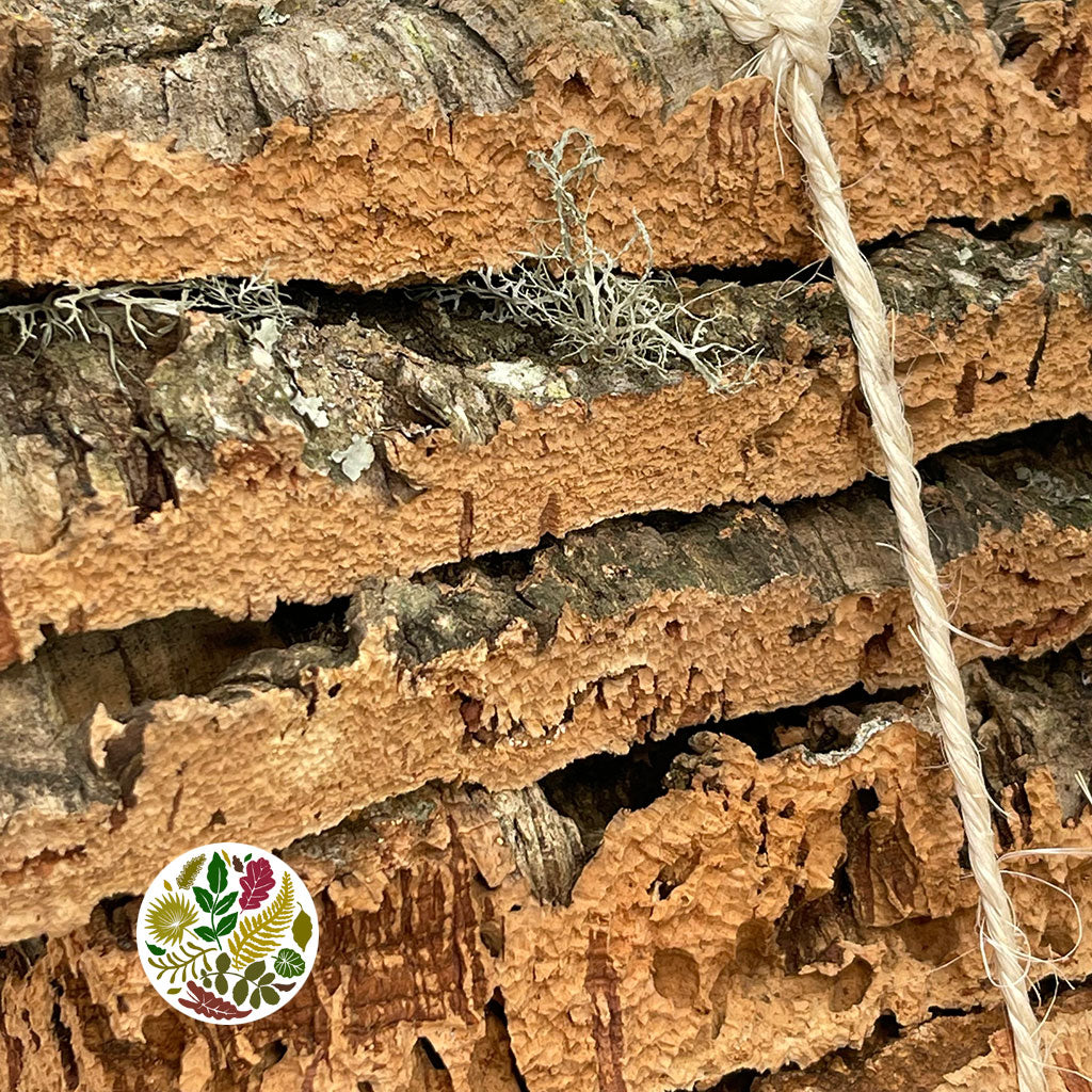 Cork Bark 'Pieces' (By Size or Bundle) (DRY) (Various Sizes)