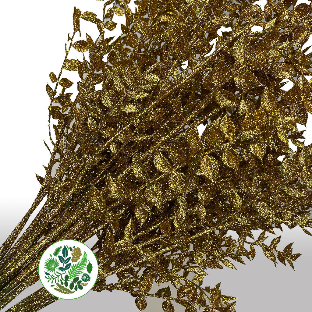 Ruscus 'Wild' (Painted & Glitter) (DRY) (x5)