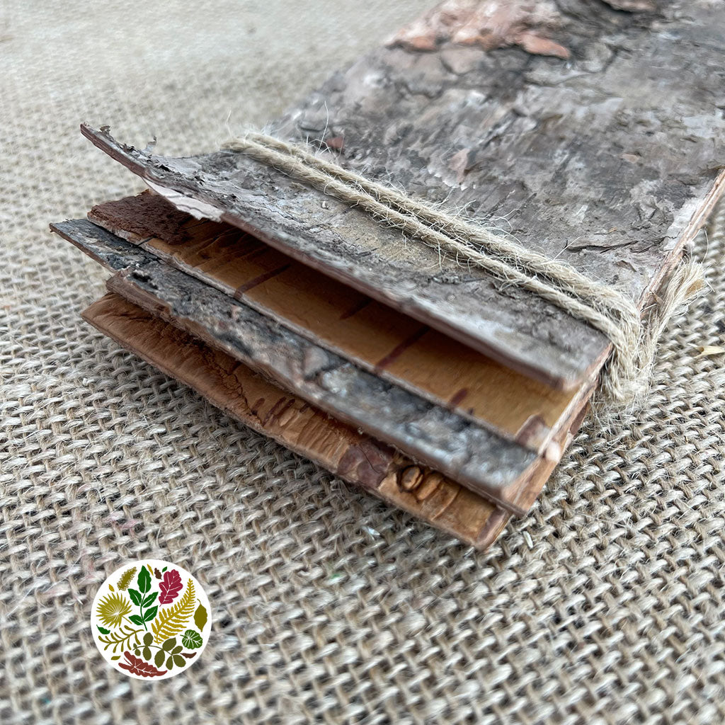 Bark Strips &#39;Thin&#39; (Natural) (DRY) (Various Sizes)