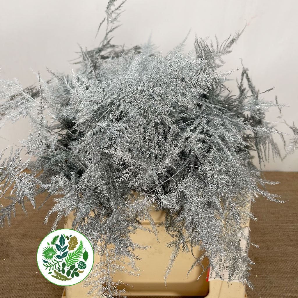 Fern &#39;Asparagus&#39; (Painted/Glitter) 45cm (Various Colours) (x50)