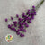 Callicarpa 60cm (x10)