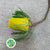 Protea 'Banksia' (Hookeri) (Yellow) (Various Lengths)