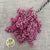 Schinus Molle Fruit (Natural Pink) (DRY) (Various Sizes)