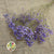 Gypsophila (Painted) (DRY) (Various Colours)