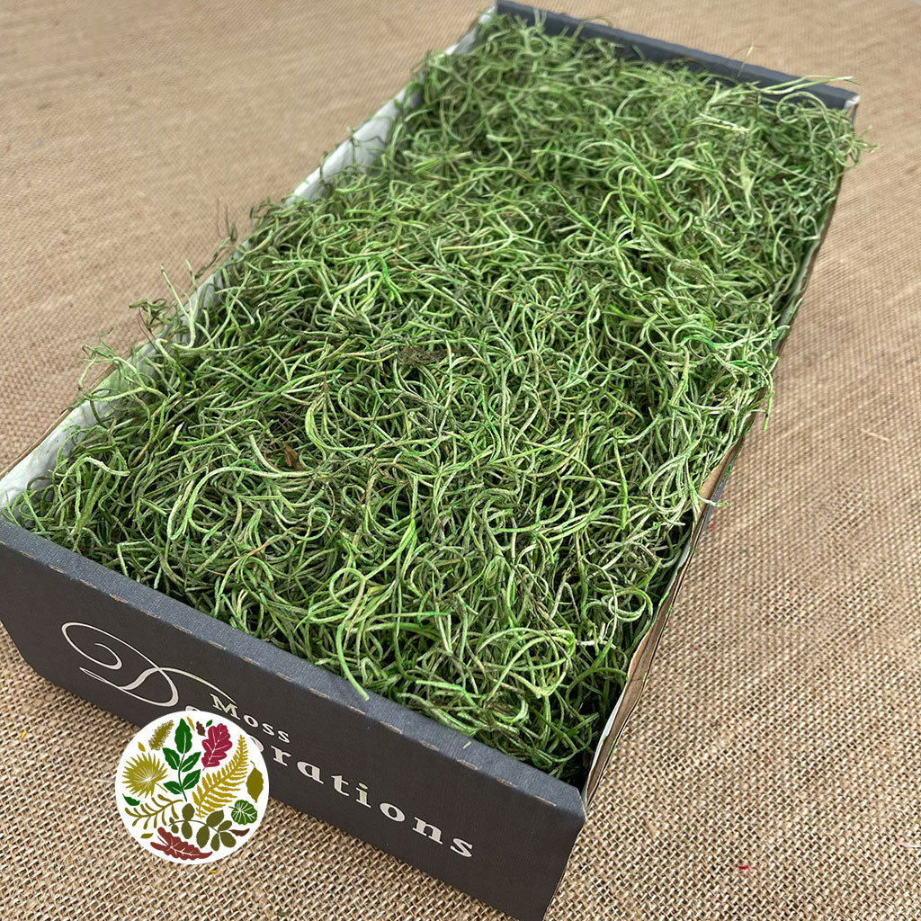 Moss &#39;Spanish Moss&#39; (DRY) (Various Colours)