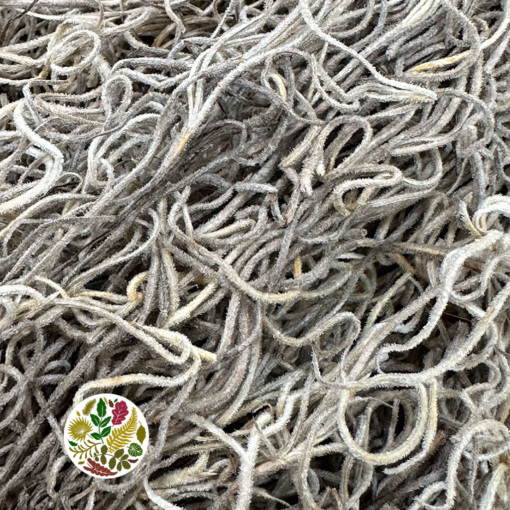 Moss &#39;Spanish Moss&#39; (DRY) (Natural) (Various Sizes)