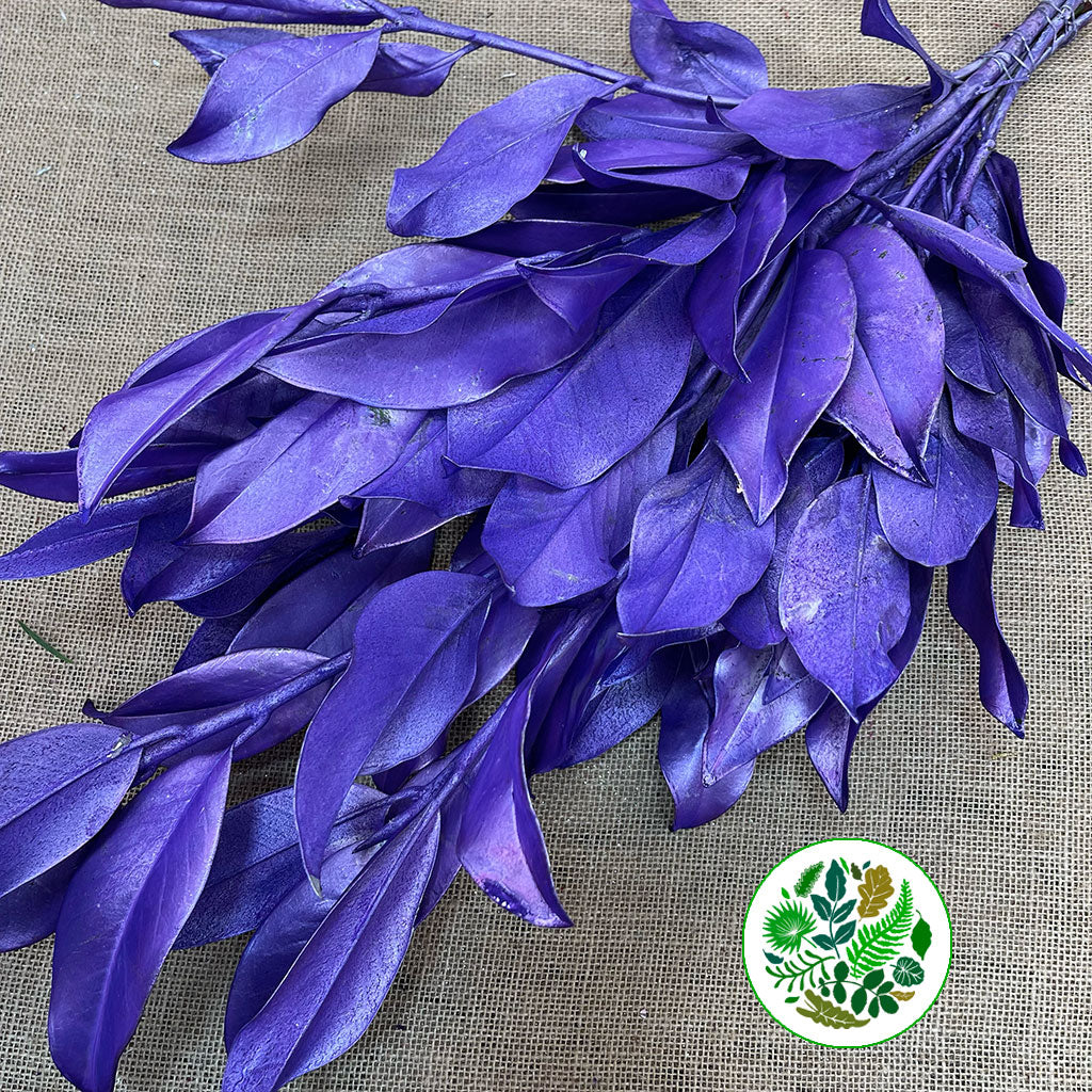 Magnolia 'Foliage' (Painted Metallic) (Various Colours) 80cm (300g)
