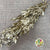 Ruscus 'Trailing' (Preserved & Painted) (DRY) (Various Colours)