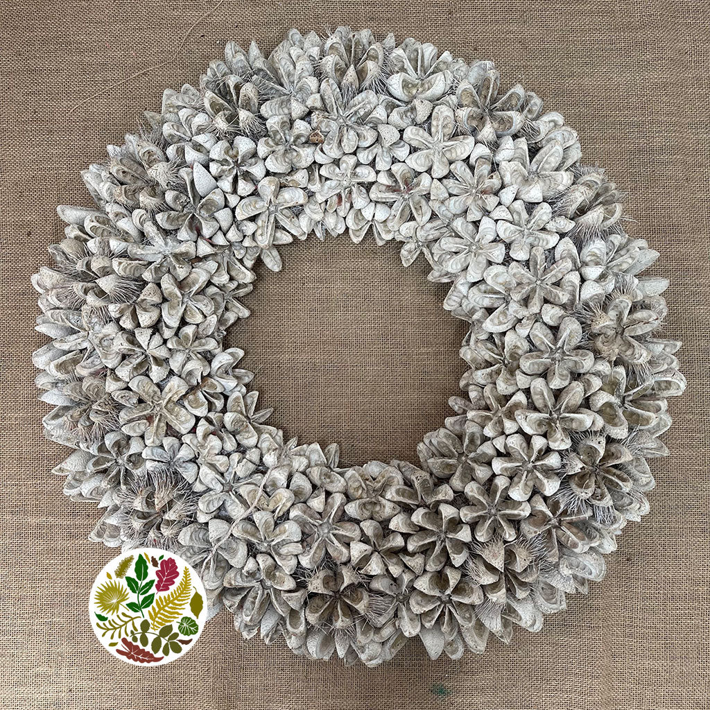 Wreath 'Kartoos' (White Wash) (DRY) (Various Sizes)