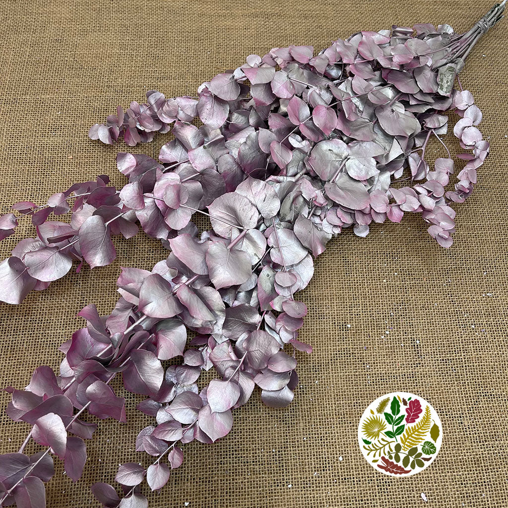 Eucalyptus 'Stuartiana' (Stabilised) (Painted) (DRY) (Various Colours)