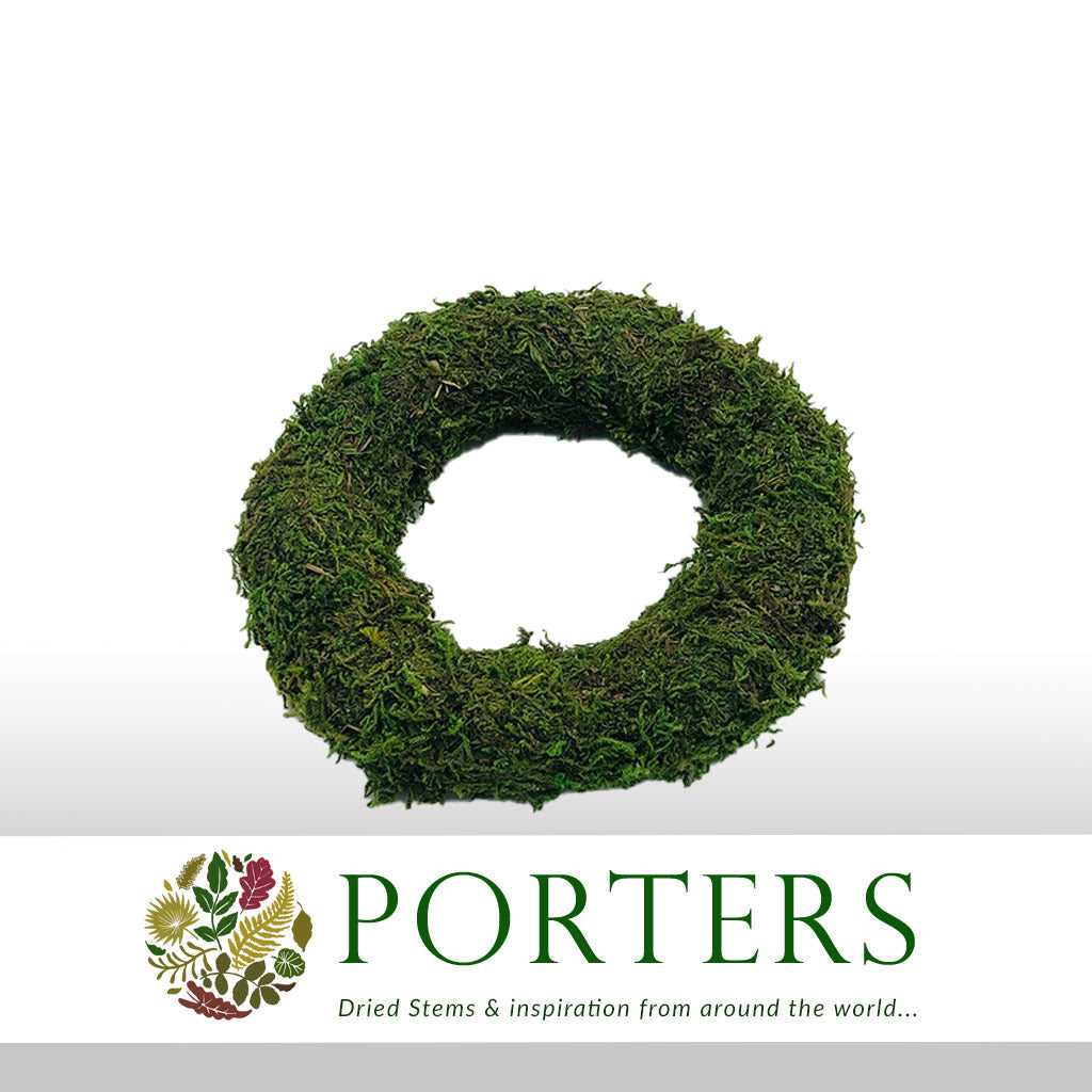 Wreath &#39;Moss&#39; (Thin) (DRY) (Various Sizes)