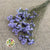 Statice 'Flower' (Various Colours) (DRY) 70cm