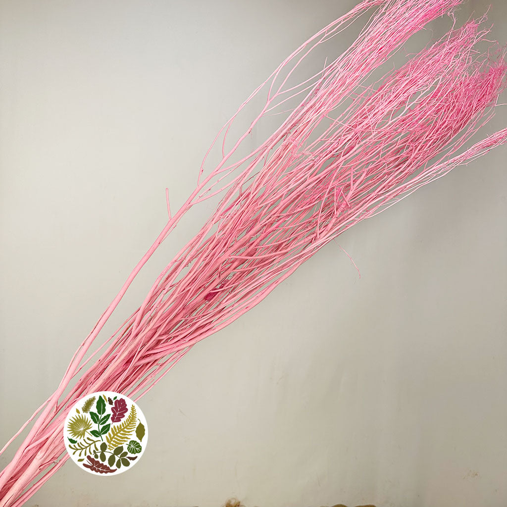 Twigs &#39;White Lady&#39; (Painted) (DRY) (Various Colours) 120cm (250g)