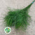 Fern 'Asparagus' (Tree Fern) (Various Lengths)