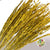 Rice Grass 'Oryza' (Yellow) (DRY)