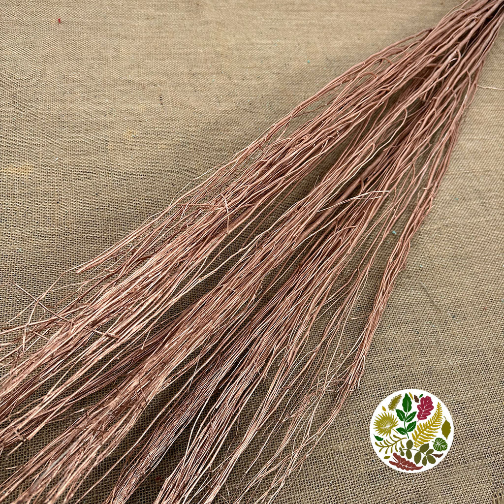 Twigs &#39;White Lady&#39; (Painted) (DRY) (Various Colours) 120cm (250g)