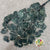 Eucalyptus 'Populus' (Preserved) (Painted) (DRY)