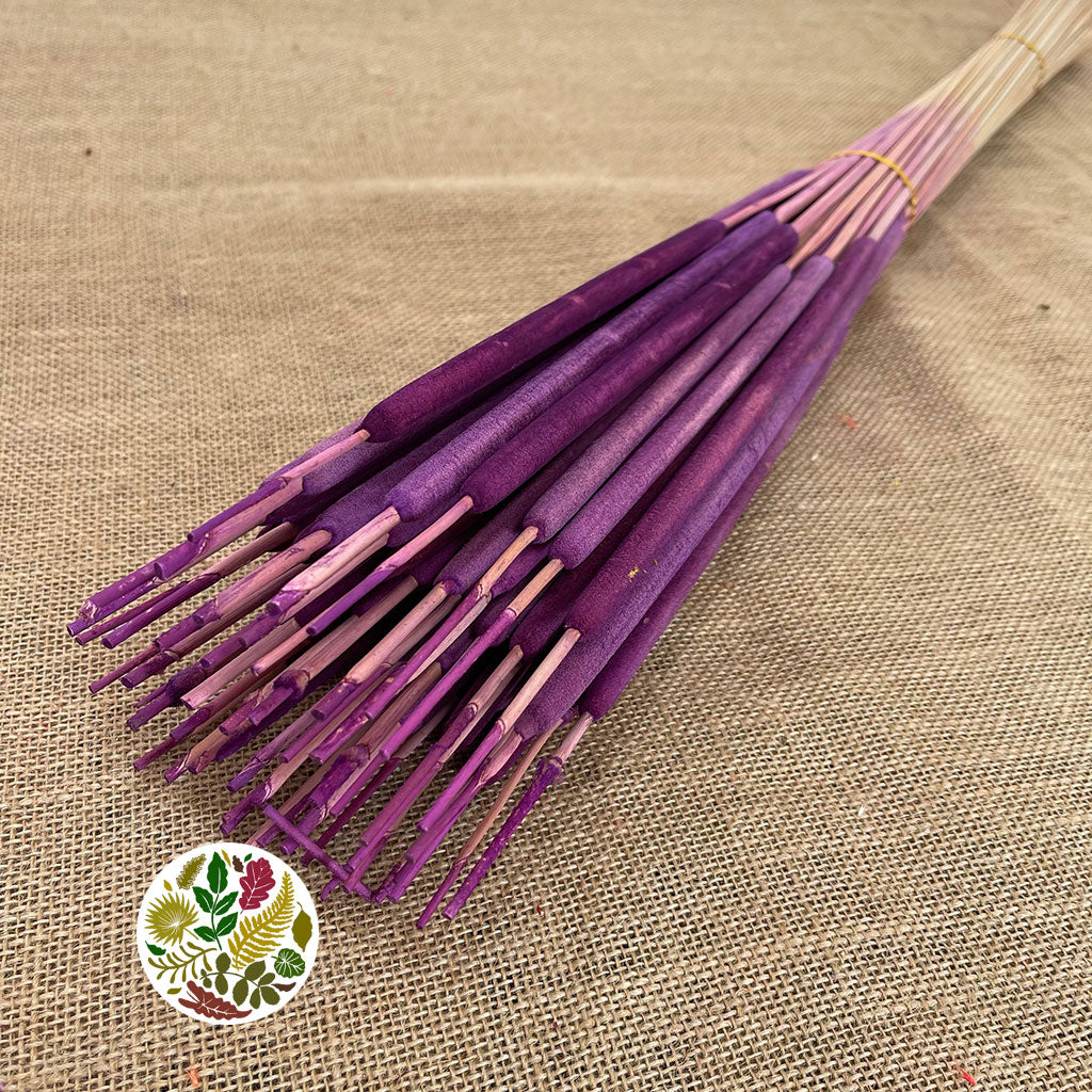 Grass &#39;Typha&#39; (Mini Bull Rush) (Painted) (DRY) (Various Colours) (x50)