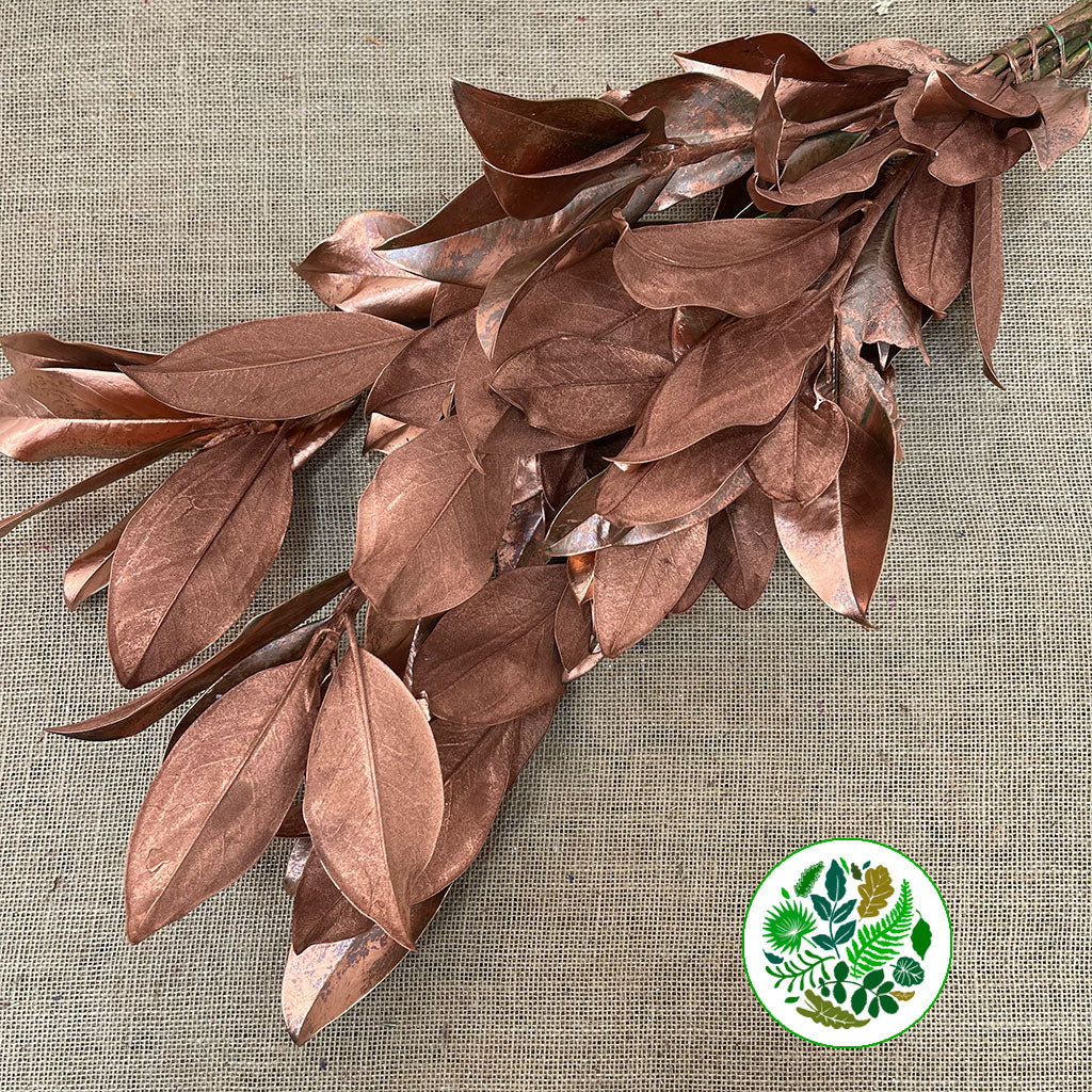 Magnolia &#39;Foliage&#39; (Painted Metalic) (Various Colours) 80cm (400g)