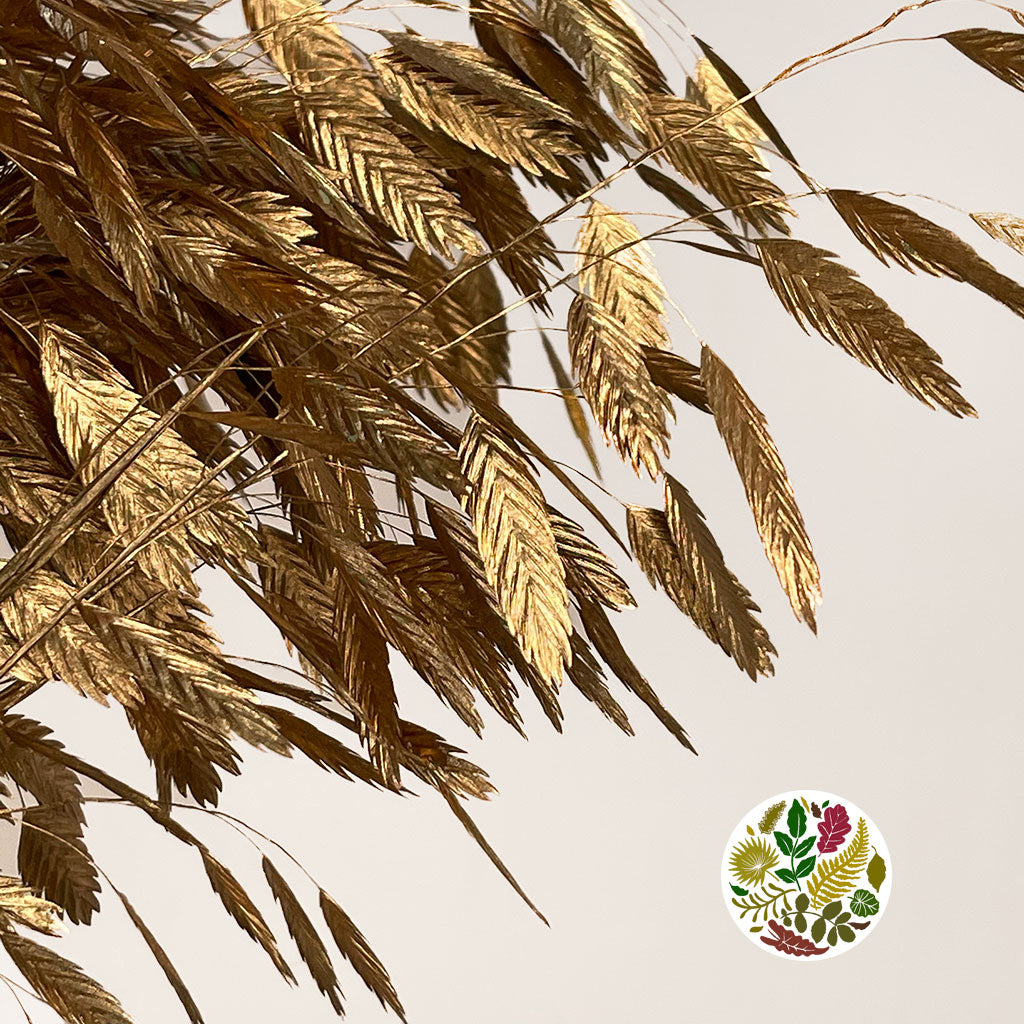 Grass &#39;Sea Oats&#39; (Painted) (Various Colours) (x50)