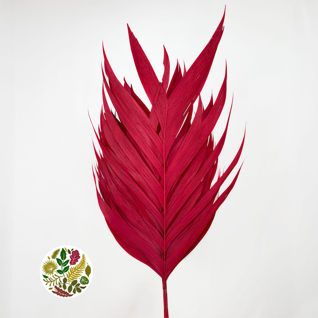 Aricana &#39;Leaves&#39; (Various Colours) (DRY) 100cm (x10)