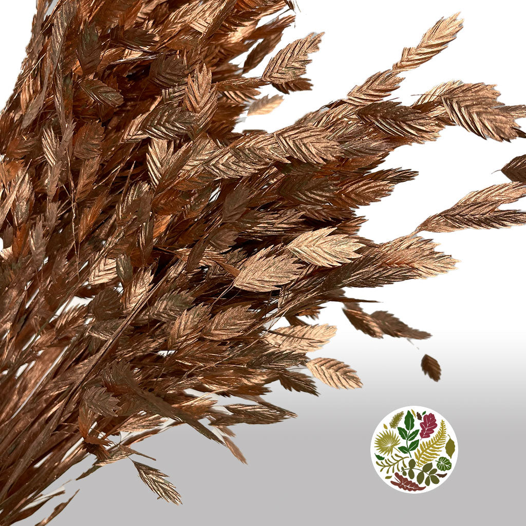 Grass &#39;Sea Oats&#39; (Painted) (Various Colours) (x50)