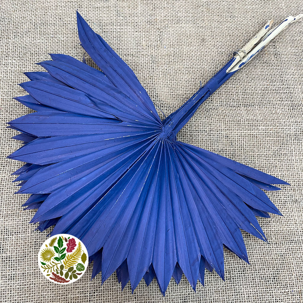 Palm &#39;Fan Palm&#39; (Painted) (DRY) (Various Colours) (x6) 45-55cm