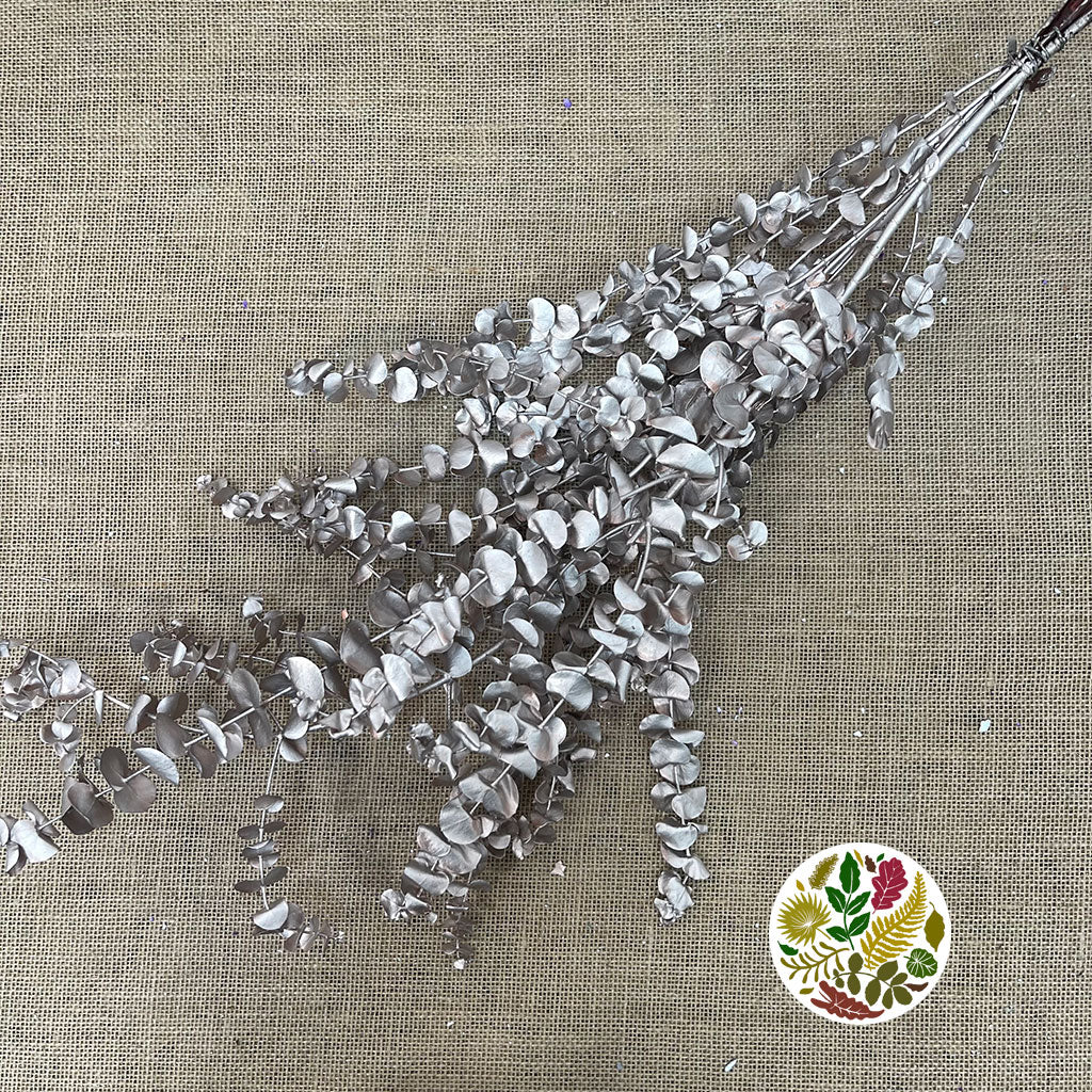 Eucalyptus 'Baby Blue' (Preserved & Painted) (DRY) (Various Colours)