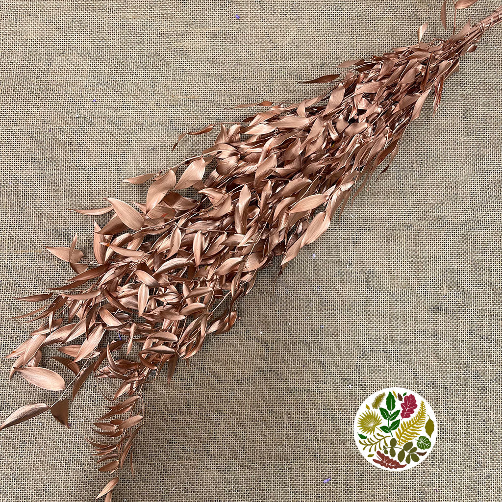 Ruscus 'Trailing' (Preserved & Painted) (DRY) (Various Colours)