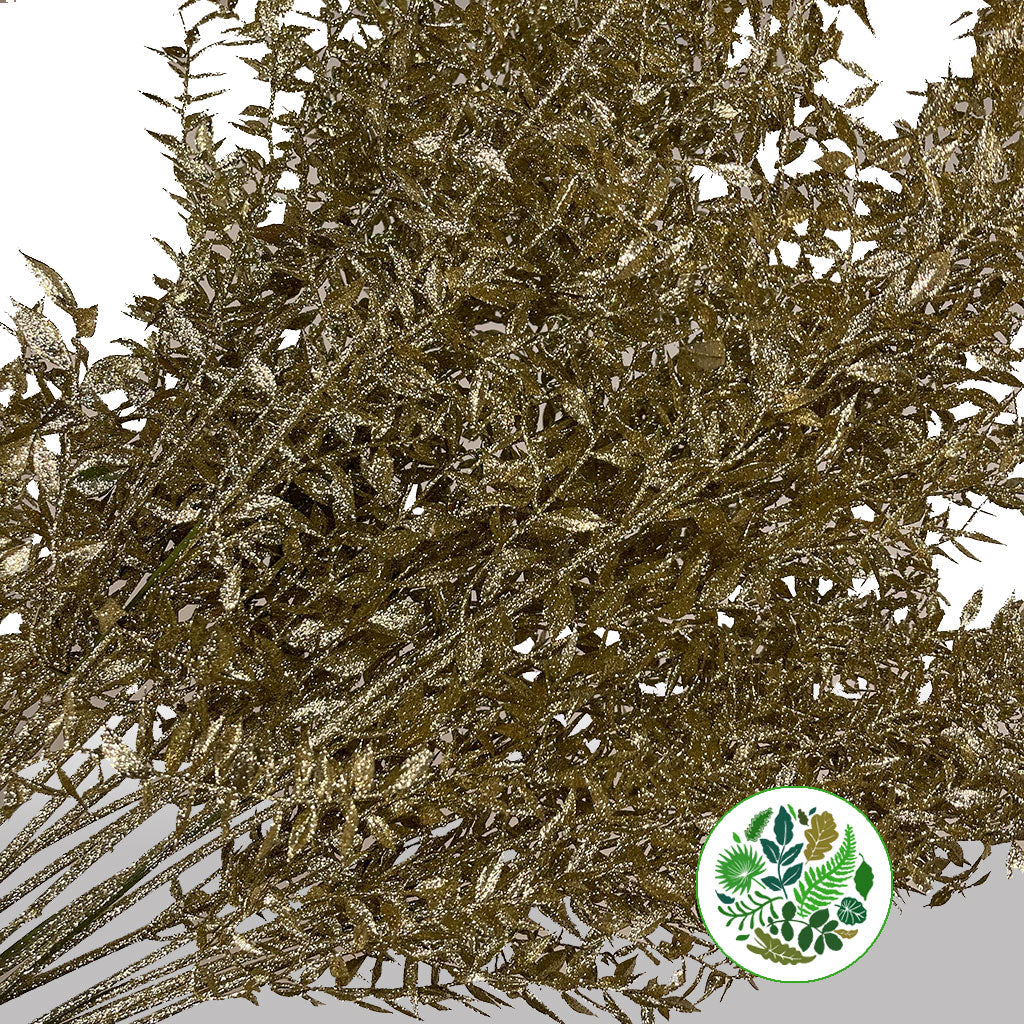 Ruscus &#39;Wild&#39; (Painted &amp; Glitter) (DRY) (x5)