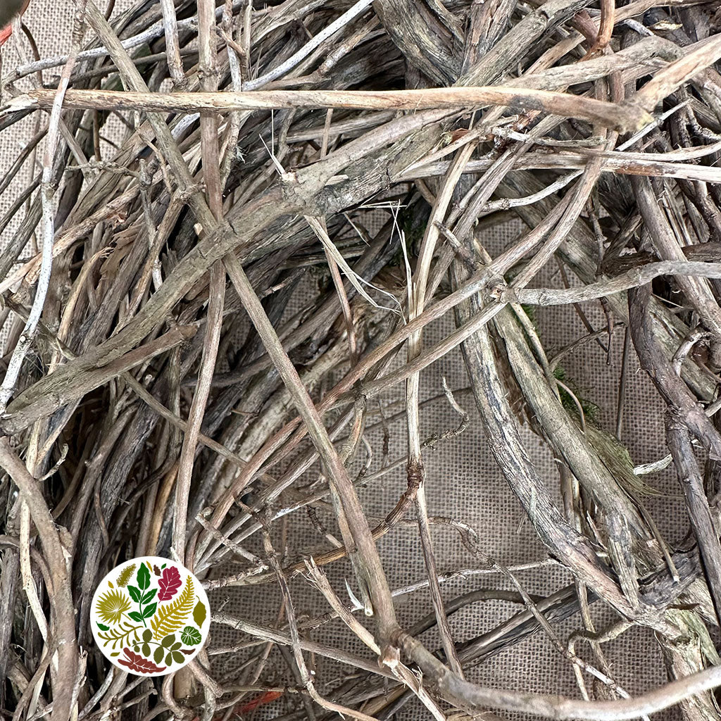 Vine 'Honeysuckle' (Bundle x10 stems)