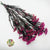 Rice Flower (Various Colours) (DRY) 70cm (100g)