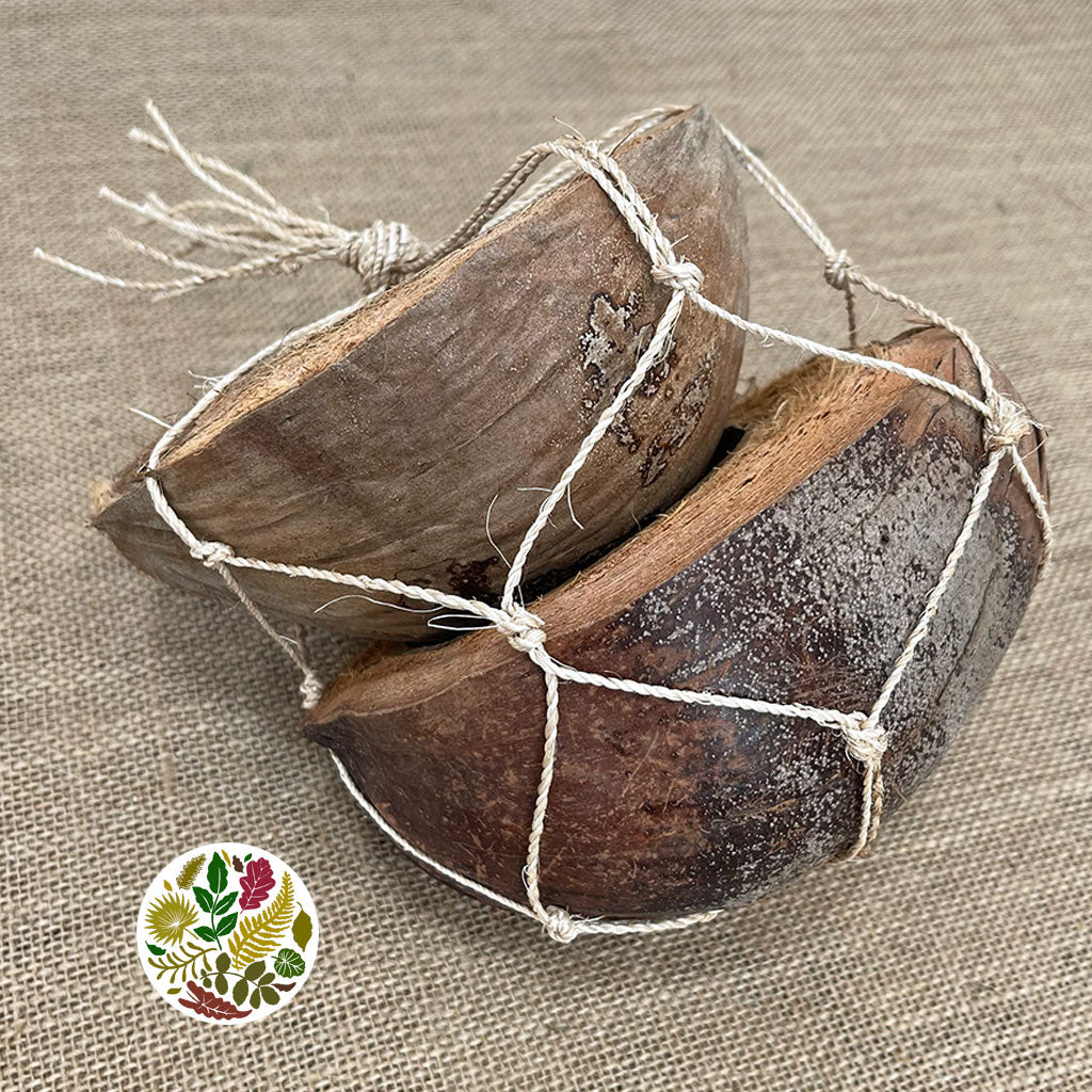 Coconut &#39;Shells&#39; (DRY) (Various Sizes)