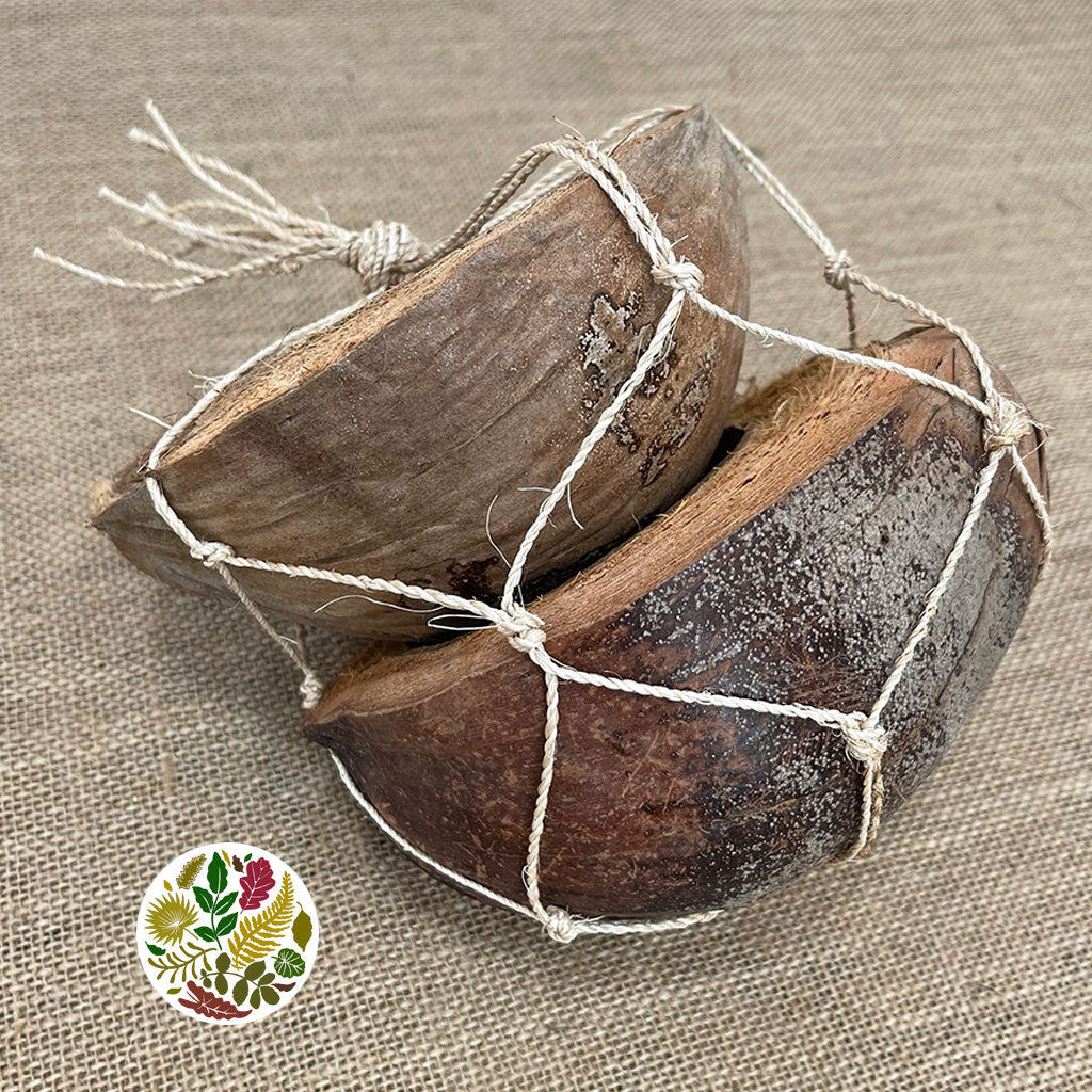 Coconut 'Shells' (DRY) (Various Sizes)
