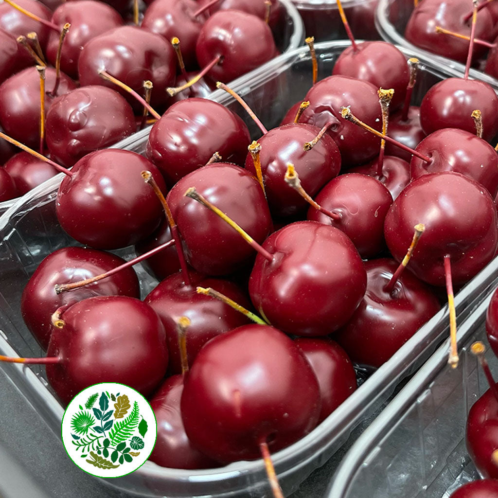 Waxed &#39;Crab Apples&#39; (Various Colours) (Small Tray)