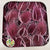 Thistle 'Heads' (Coloured/Bleached) (DRY) (Various Colours)