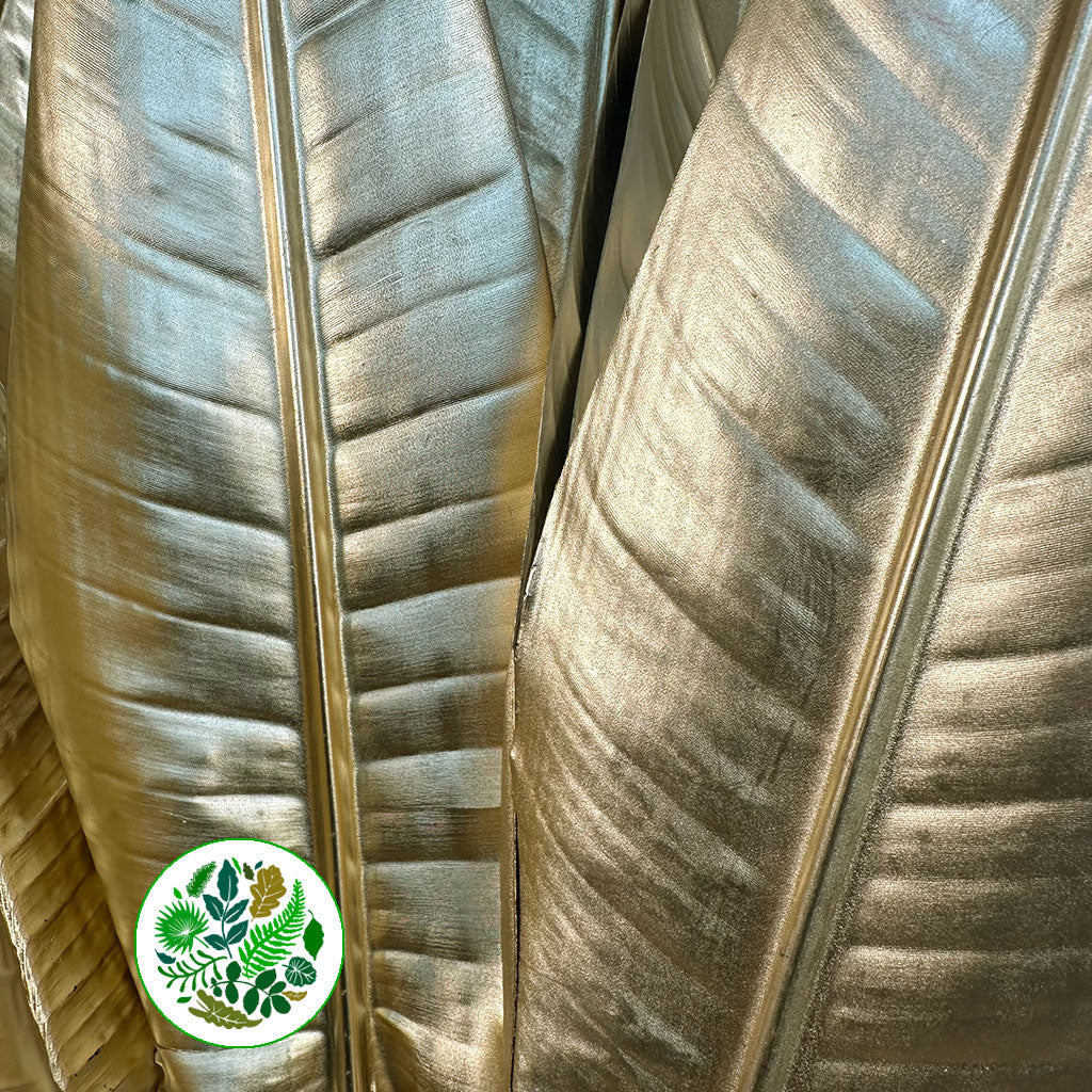 Strelitzia 'Leaves' Painted (Various Colours) (x10)
