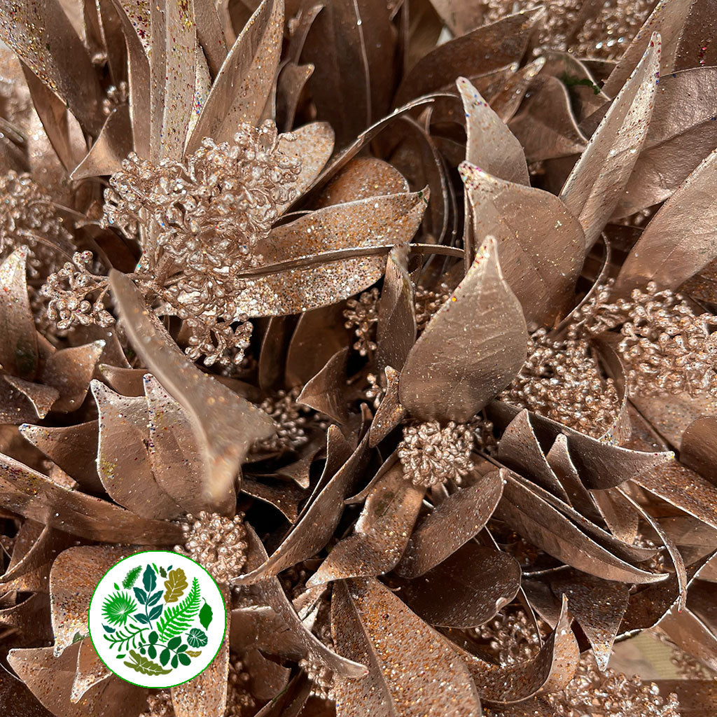 Skimmia (Painted) (Various Colours)