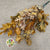 Oak 'Stabilised' (Various Colours) (DRY) 60cm