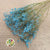 Gypsophila (Painted) (DRY) (Various Colours)