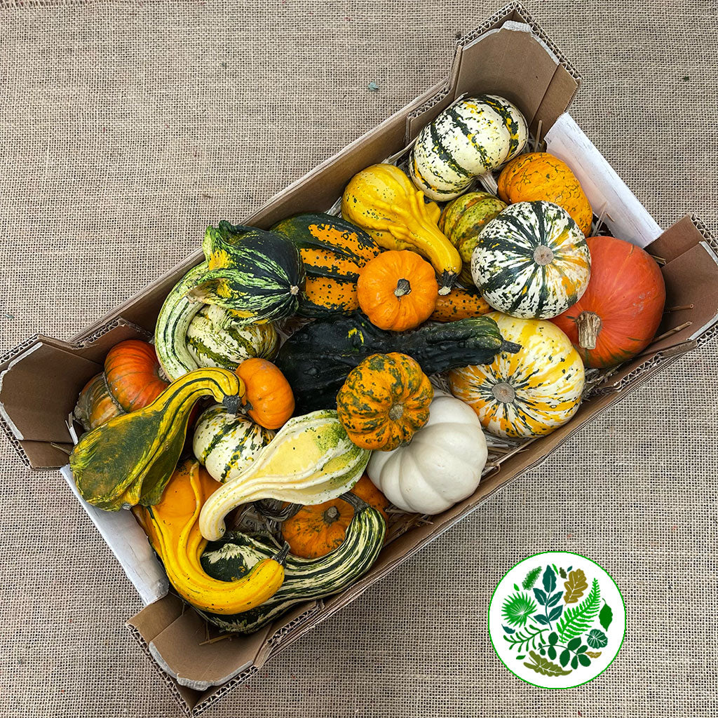 Gourds 'Mix Trays' (Various Types)