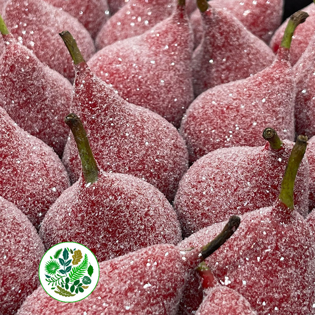 Waxed 'Pears' (Various Colours) 'With and Without Glitter' (x39)