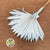 Palm 'Fan Palm' (Painted) (DRY) (Various Colours) (x5) 45-55cm