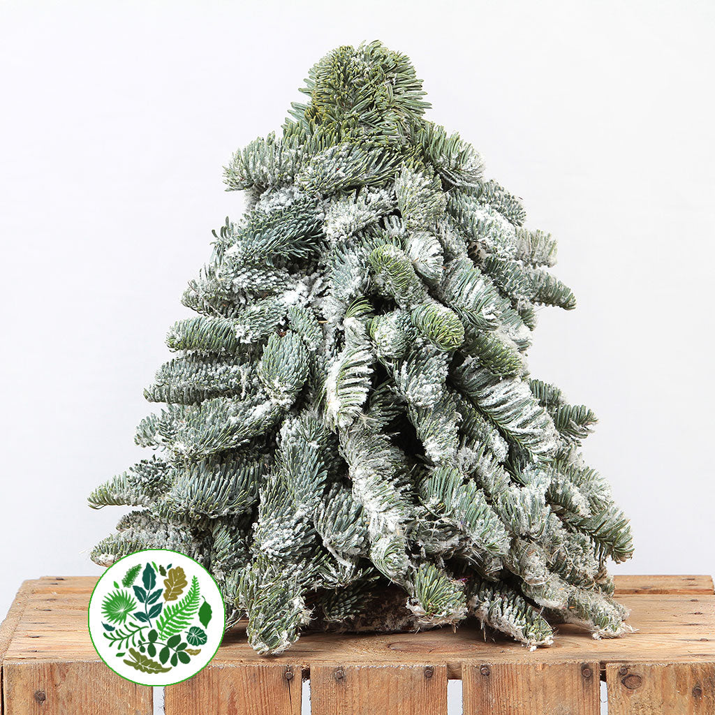 Christmas 'Trees' Snow (Man made) (Various Sizes)