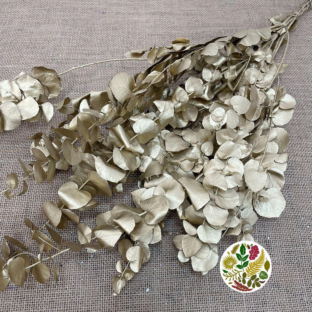 Eucalyptus 'Stuartiana' (Stabilised) (Painted) (DRY) (Various Colours)