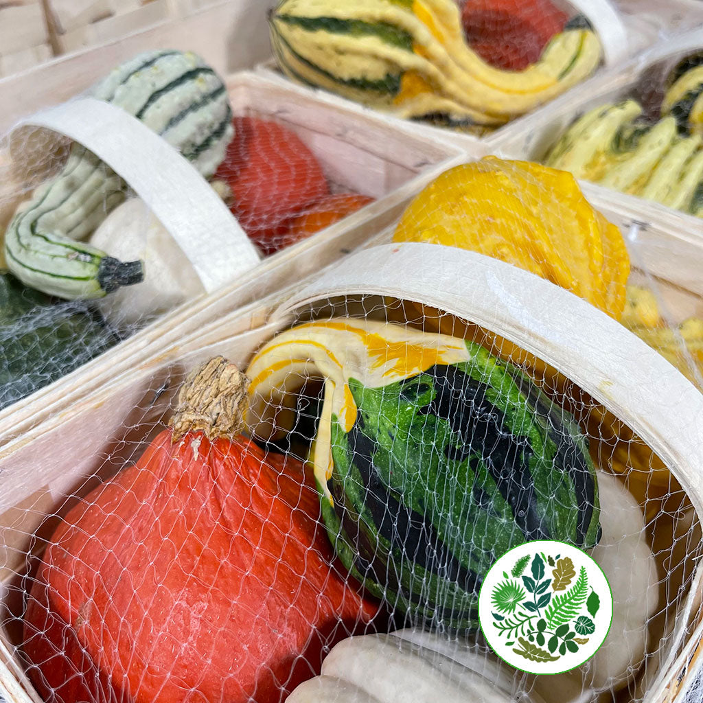 Gourds &#39;Mix Trays&#39; (Various Types)