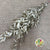 Ruscus 'Trailing' (Preserved & Painted) (DRY) (Various Colours)